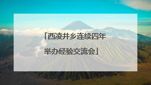 西凌井乡连续四年举办经验交流会