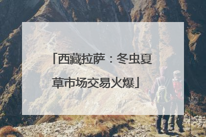 西藏拉萨：冬虫夏草市场交易火爆