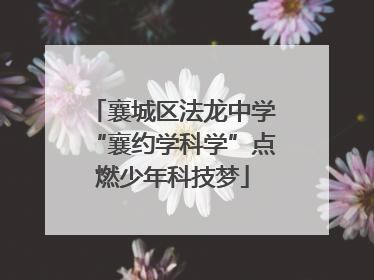 襄城区法龙中学“襄约学科学”点燃少年科技梦