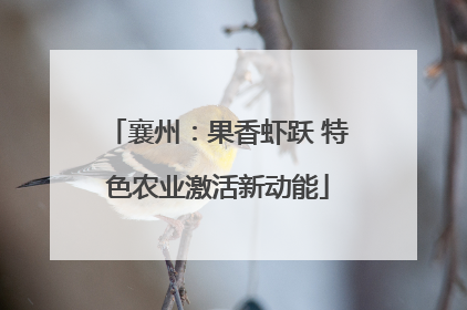 襄州：果香虾跃 特色农业激活新动能