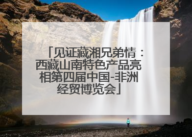 见证藏湘兄弟情：西藏山南特色产品亮相第四届中国-非洲经贸博览会