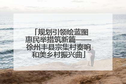 规划引领绘蓝图 惠民举措筑新篇——徐州丰县宗集村奏响和美乡村振兴曲