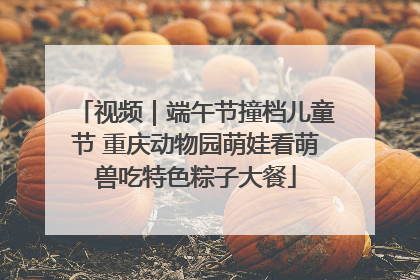 视频｜端午节撞档儿童节 重庆动物园萌娃看萌兽吃特色粽子大餐