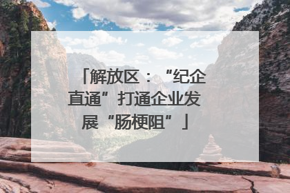 解放区：“纪企直通”打通企业发展“肠梗阻”