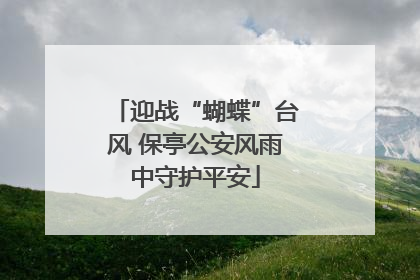 迎战“蝴蝶”台风 保亭公安风雨中守护平安