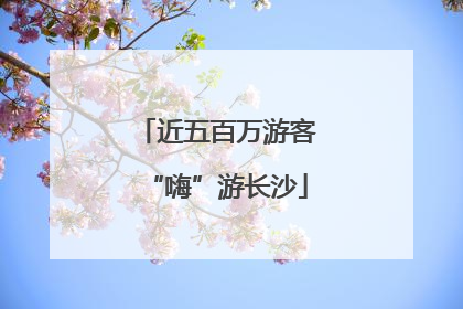 近五百万游客“嗨”游长沙