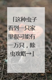 这种虫子看到一只家里很可能有一万只，除虫攻略→