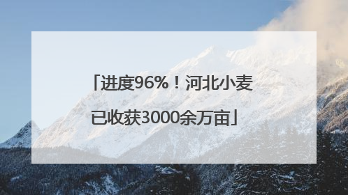 进度96%！河北小麦已收获3000余万亩