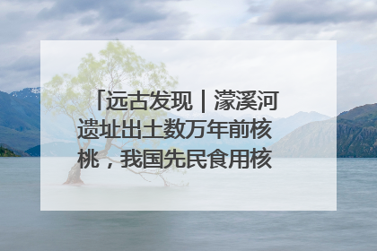 远古发现｜濛溪河遗址出土数万年前核桃，我国先民食用核桃历史大幅提前
