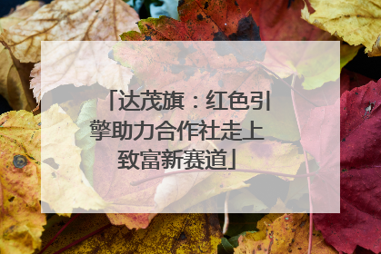 达茂旗：红色引擎助力合作社走上致富新赛道