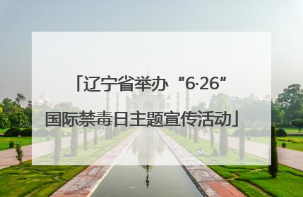 辽宁省举办“6·26”国际禁毒日主题宣传活动