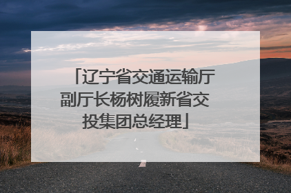 辽宁省交通运输厅副厅长杨树履新省交投集团总经理