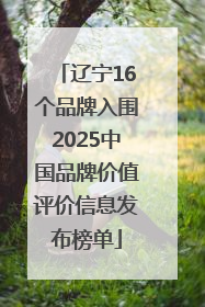 辽宁16个品牌入围2025中国品牌价值评价信息发布榜单