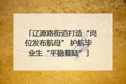 辽源路街道打造“岗位发布航母” 护航毕业生“平稳着陆”