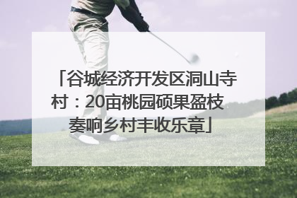 谷城经济开发区洞山寺村：20亩桃园硕果盈枝 奏响乡村丰收乐章