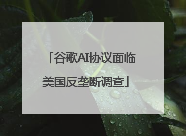 谷歌AI协议面临美国反垄断调查