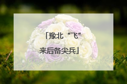 豫北“飞”来后备尖兵