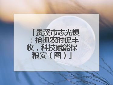 贵溪市志光镇：抢抓农时促丰收，科技赋能保粮安（图）