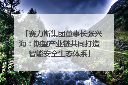 赛力斯集团董事长张兴海：期望产业链共同打造智能安全生态体系
