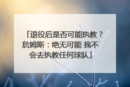 退役后是否可能执教？詹姆斯：绝无可能 我不会去执教任何球队