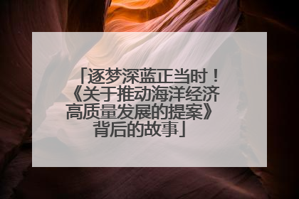 逐梦深蓝正当时！《关于推动海洋经济高质量发展的提案》背后的故事
