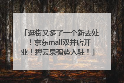 逛街又多了一个新去处！京东mall双井店开业！碧云泉强势入驻！