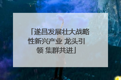 遂昌发展壮大战略性新兴产业 龙头引领 集群共进