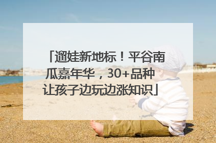 遛娃新地标！平谷南瓜嘉年华，30+品种让孩子边玩边涨知识