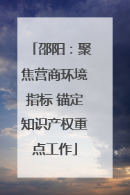 邵阳：聚焦营商环境指标 锚定知识产权重点工作