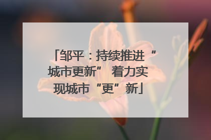 邹平：持续推进“城市更新” 着力实现城市“更”新