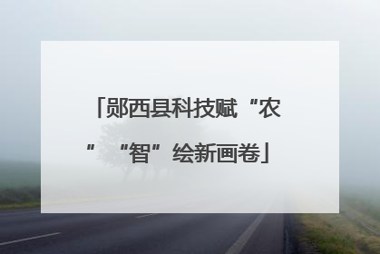 郧西县科技赋“农”“智”绘新画卷