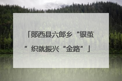郧西县六郎乡“银茧”织就振兴“金路”
