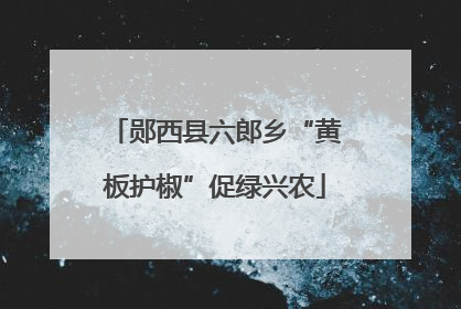 郧西县六郎乡“黄板护椒”促绿兴农