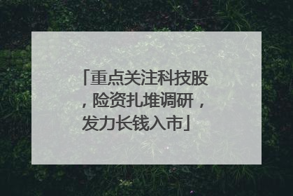 重点关注科技股，险资扎堆调研，发力长钱入市