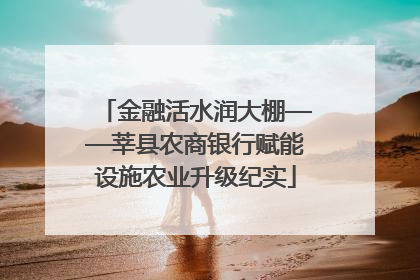 金融活水润大棚——莘县农商银行赋能设施农业升级纪实