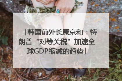 韩国前外长康京和：特朗普“对等关税”加速全球GDP缩减的趋势