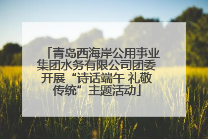 青岛西海岸公用事业集团水务有限公司团委开展“诗话端午 礼敬传统”主题活动