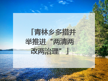 青林乡多措并举推进“两清两改两治理”