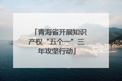 青海省开展知识产权“五个一”三年攻坚行动