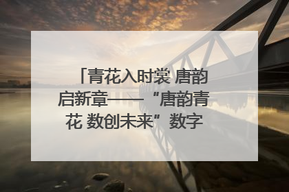青花入时裳 唐韵启新章——“唐韵青花 数创未来”数字文创设计大赛启幕