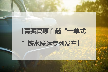 青藏高原首趟“一单式”铁水联运专列发车