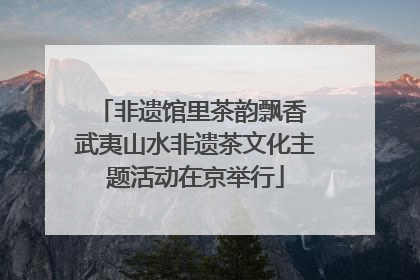 非遗馆里茶韵飘香 武夷山水非遗茶文化主题活动在京举行
