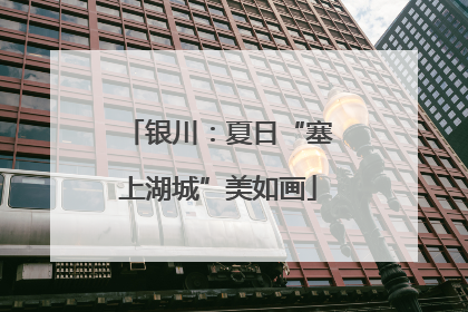 银川：夏日“塞上湖城”美如画