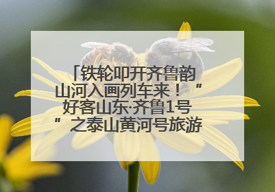 铁轮叩开齐鲁韵 山河入画列车来！“好客山东·齐鲁1号”之泰山黄河号旅游列车首发活动侧记