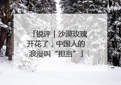 锐评｜沙漠玫瑰开花了，中国人的浪漫叫“担当”