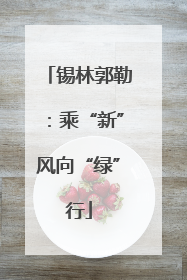 锡林郭勒：乘“新”风向“绿”行