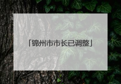锦州市市长已调整
