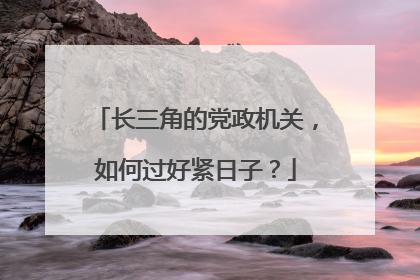 长三角的党政机关，如何过好紧日子？