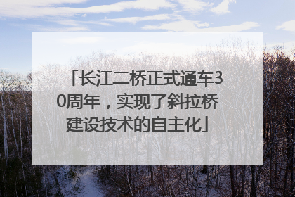 长江二桥正式通车30周年，实现了斜拉桥建设技术的自主化