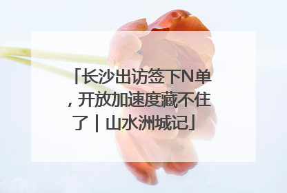 长沙出访签下N单，开放加速度藏不住了｜山水洲城记